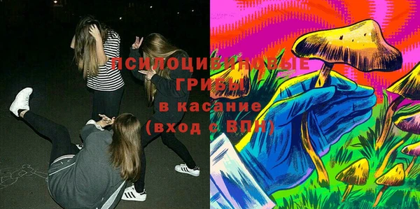 ECSTASY Алзамай