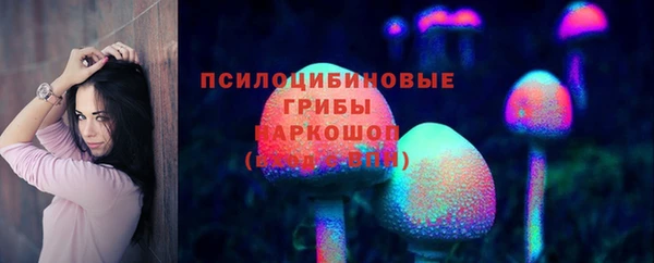 ECSTASY Алзамай