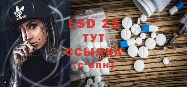 ECSTASY Алзамай