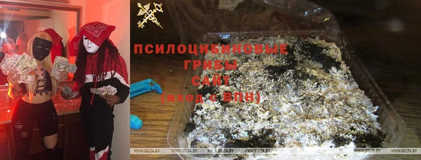 ECSTASY Алзамай